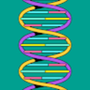 Meet your Posher, Alberto